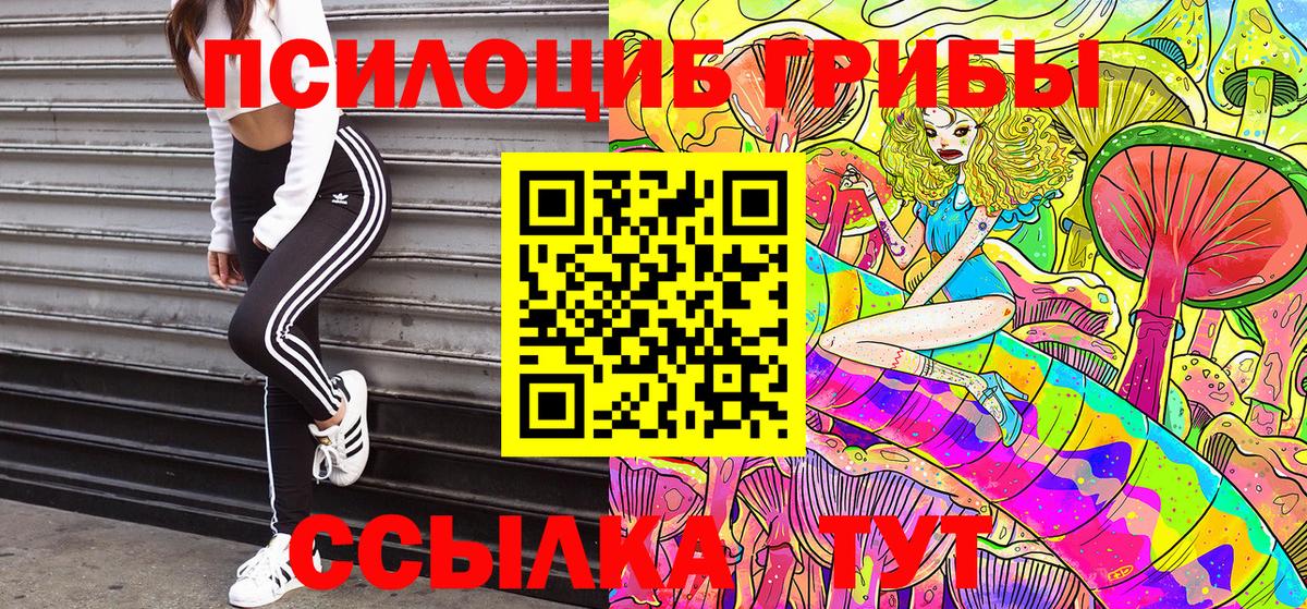 Галлюциногенные грибы MAGIC MUSHROOMS Карачаевск