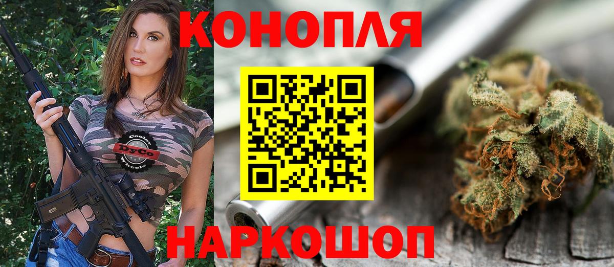 Марихуана планчик Карачаевск